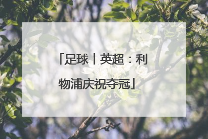 足球丨英超：利物浦庆祝夺冠