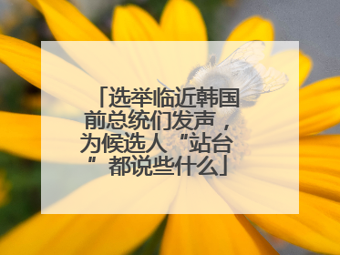 选举临近韩国前总统们发声，为候选人“站台”都说些什么