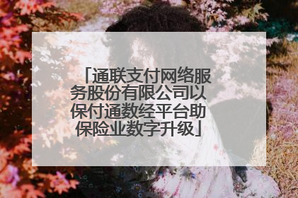 通联支付网络服务股份有限公司以保付通数经平台助保险业数字升级