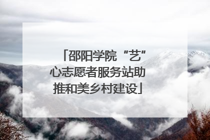 邵阳学院“艺”心志愿者服务站助推和美乡村建设