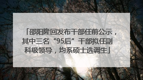 邵阳隆回发布干部任前公示，其中三名“95后”干部拟任副科级领导，均系硕士选调生