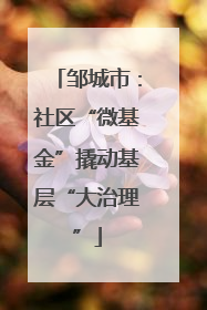 邹城市：社区“微基金”撬动基层“大治理”
