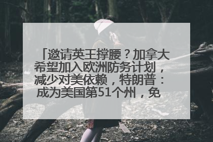 邀请英王撑腰？加拿大希望加入欧洲防务计划，减少对美依赖，特朗普：成为美国第51个州，免费用“金穹”
