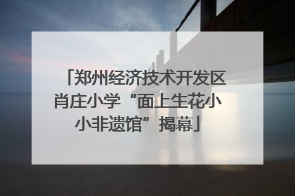 郑州经济技术开发区肖庄小学“面上生花小小非遗馆”揭幕