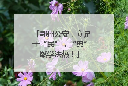 鄂州公安：立足于“民”，“典”燃学法热！