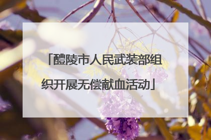醴陵市人民武装部组织开展无偿献血活动