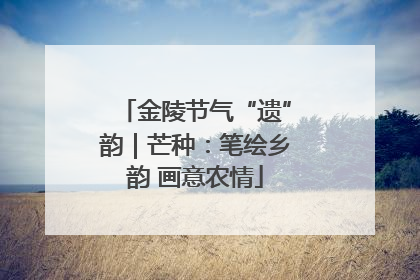 金陵节气“遗”韵｜芒种：笔绘乡韵 画意农情