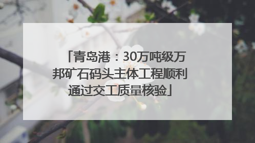 青岛港：30万吨级万邦矿石码头主体工程顺利通过交工质量核验
