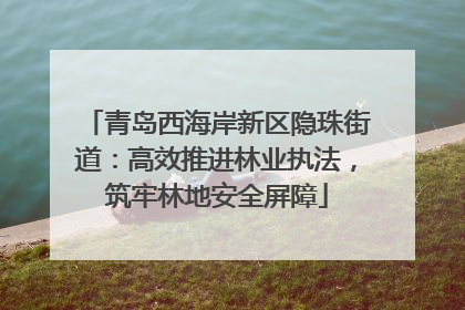 青岛西海岸新区隐珠街道：高效推进林业执法，筑牢林地安全屏障