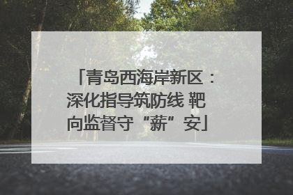 青岛西海岸新区：深化指导筑防线 靶向监督守“薪”安