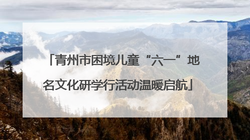 青州市困境儿童“六一”地名文化研学行活动温暖启航