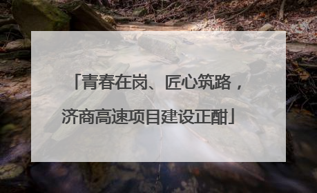 青春在岗、匠心筑路，济商高速项目建设正酣