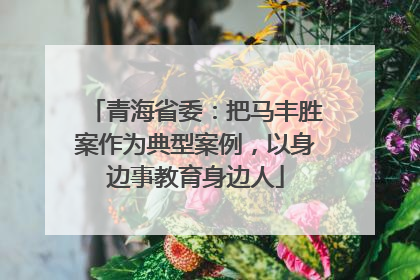 青海省委：把马丰胜案作为典型案例，以身边事教育身边人