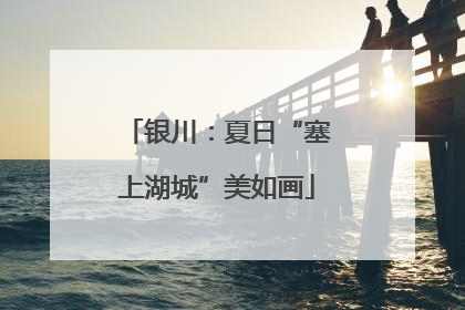 银川：夏日“塞上湖城”美如画