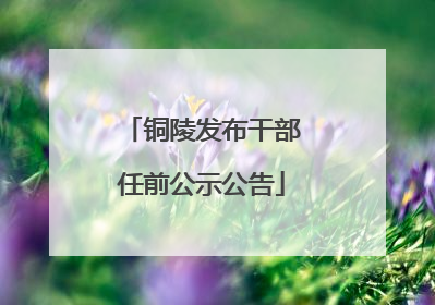 铜陵发布干部任前公示公告