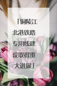 铜陵江北港铁路专用线建设取得重大进展
