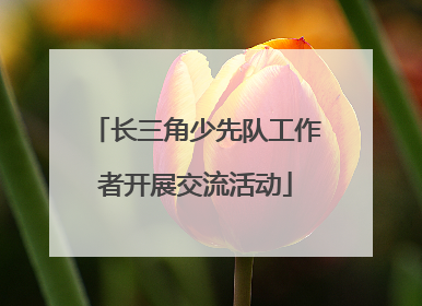 长三角少先队工作者开展交流活动