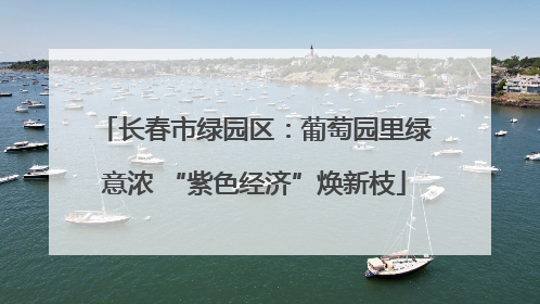 长春市绿园区：葡萄园里绿意浓 “紫色经济”焕新枝