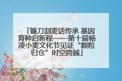 镰刀割麦话传承 基因育种启新程——第十届杨凌小麦文化节见证“颗粒归仓”时空跨越