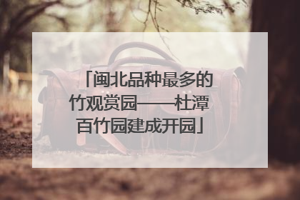 闽北品种最多的竹观赏园——杜潭百竹园建成开园