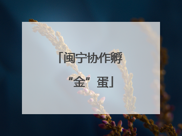 闽宁协作孵“金”蛋