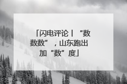 闪电评论丨“数数数”，山东跑出加“数”度