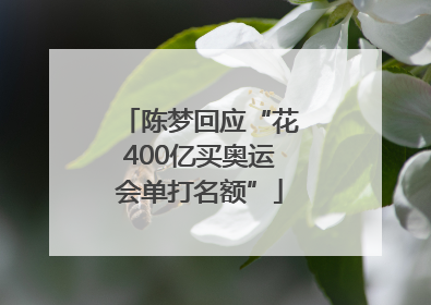 陈梦回应“花400亿买奥运会单打名额”