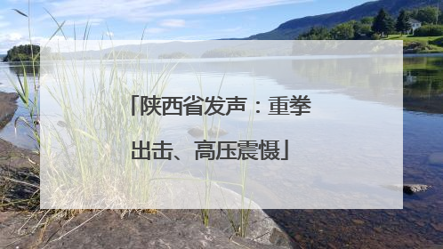陕西省发声：重拳出击、高压震慑