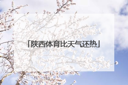 陕西体育比天气还热