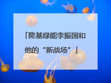 隆基绿能李振国和他的“新战场”