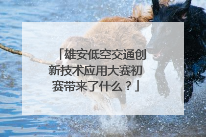 雄安低空交通创新技术应用大赛初赛带来了什么？