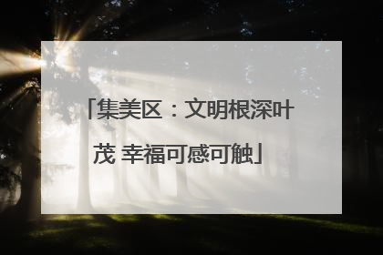 集美区：文明根深叶茂 幸福可感可触