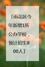 雨花区今年新增1所公办学校，预计招生800人
