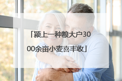 颍上一种粮大户3000余亩小麦喜丰收