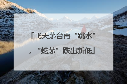 飞天茅台再“跳水”，“蛇茅”跌出新低