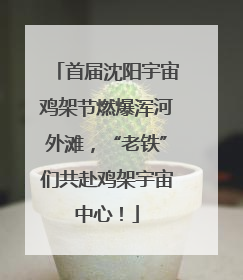 首届沈阳宇宙鸡架节燃爆浑河外滩，“老铁”们共赴鸡架宇宙中心！