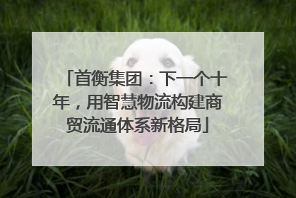 首衡集团：下一个十年，用智慧物流构建商贸流通体系新格局