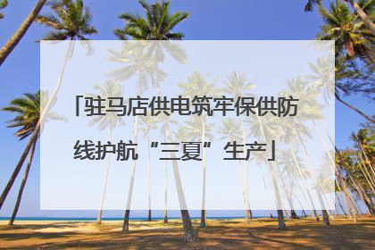 驻马店供电筑牢保供防线护航“三夏”生产