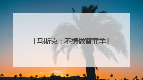 马斯克：不想做替罪羊