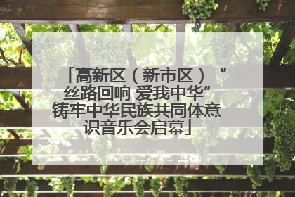 高新区（新市区）“丝路回响 爱我中华”铸牢中华民族共同体意识音乐会启幕