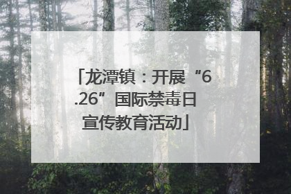 龙潭镇：开展“6.26”国际禁毒日宣传教育活动
