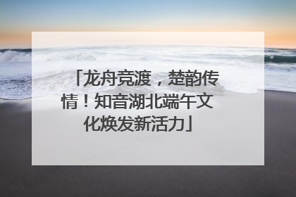 龙舟竞渡，楚韵传情！知音湖北端午文化焕发新活力