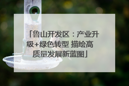 鲁山开发区：产业升级+绿色转型 描绘高质量发展新蓝图