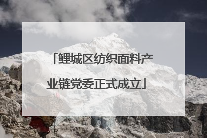 鲤城区纺织面料产业链党委正式成立
