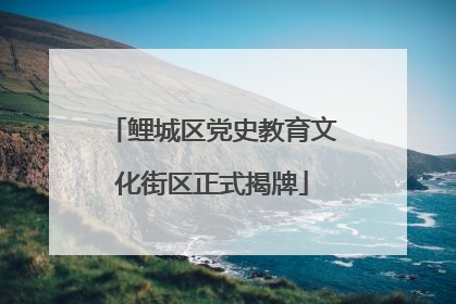 鲤城区党史教育文化街区正式揭牌