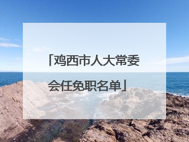 鸡西市人大常委会任免职名单