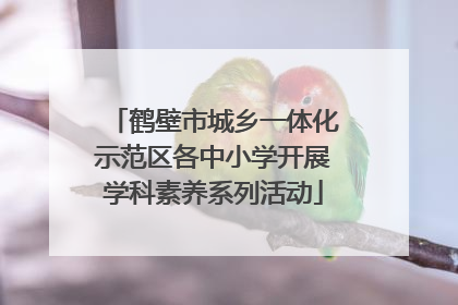 鹤壁市城乡一体化示范区各中小学开展学科素养系列活动