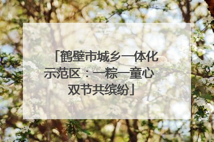 鹤壁市城乡一体化示范区：一粽一童心 双节共缤纷