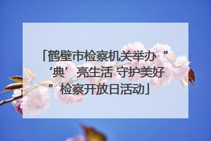 鹤壁市检察机关举办“‘典’亮生活 守护美好”检察开放日活动