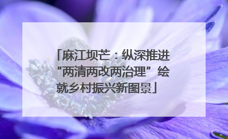 麻江坝芒：纵深推进“两清两改两治理”绘就乡村振兴新图景